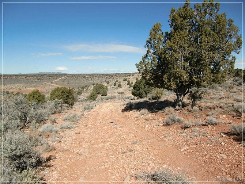 Kanab Point, Arizona Strip, AZ