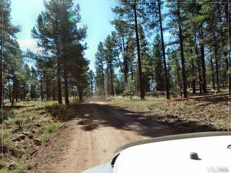 Kelly Point and Twin Point, Grand Parashant NM, AZ