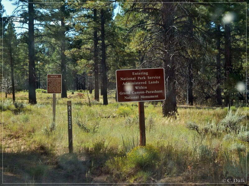 Kelly Point and Twin Point, Grand Parashant NM, AZ
