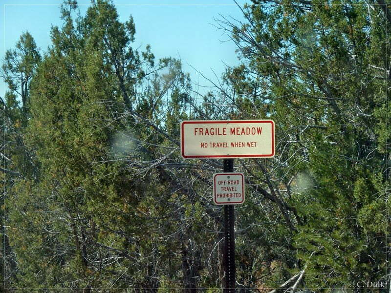 Kelly Point and Twin Point, Grand Parashant NM, AZ