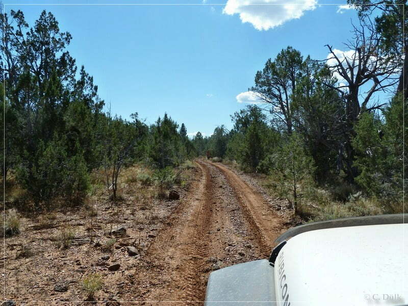 Kelly Point and Twin Point, Grand Parashant NM, AZ