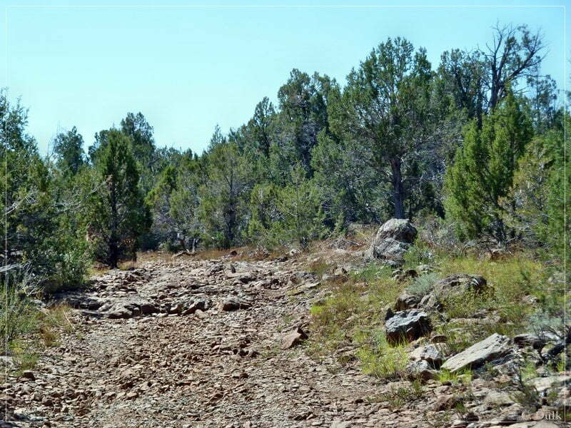 Kelly Point and Twin Point, Grand Parashant NM, AZ