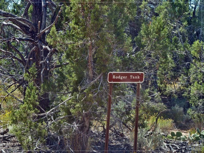 Kelly Point and Twin Point, Grand Parashant NM, AZ