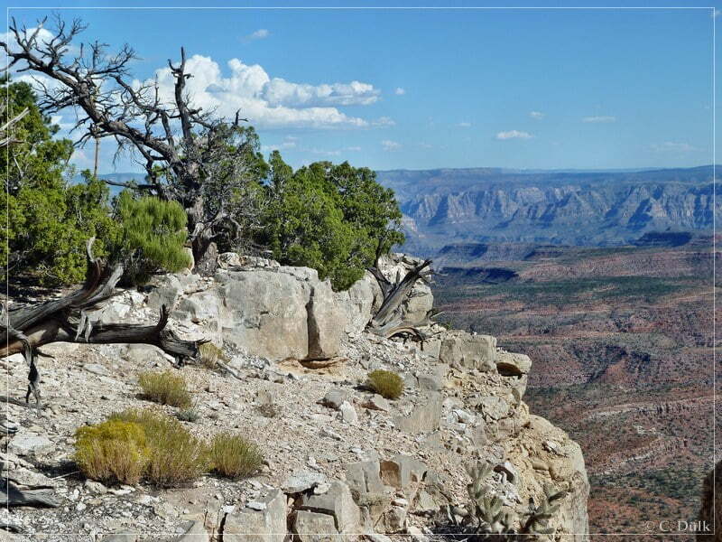 Kelly Point and Twin Point, Grand Parashant NM, AZ