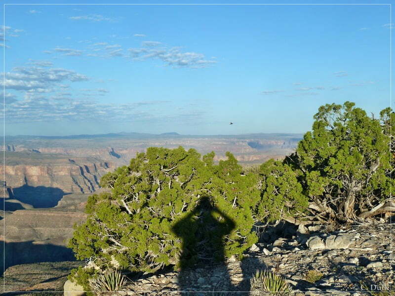 Kelly Point and Twin Point, Grand Parashant NM, AZ