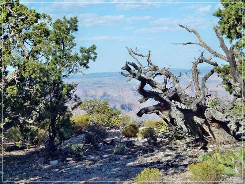 Kelly Point and Twin Point, Grand Parashant NM, AZ
