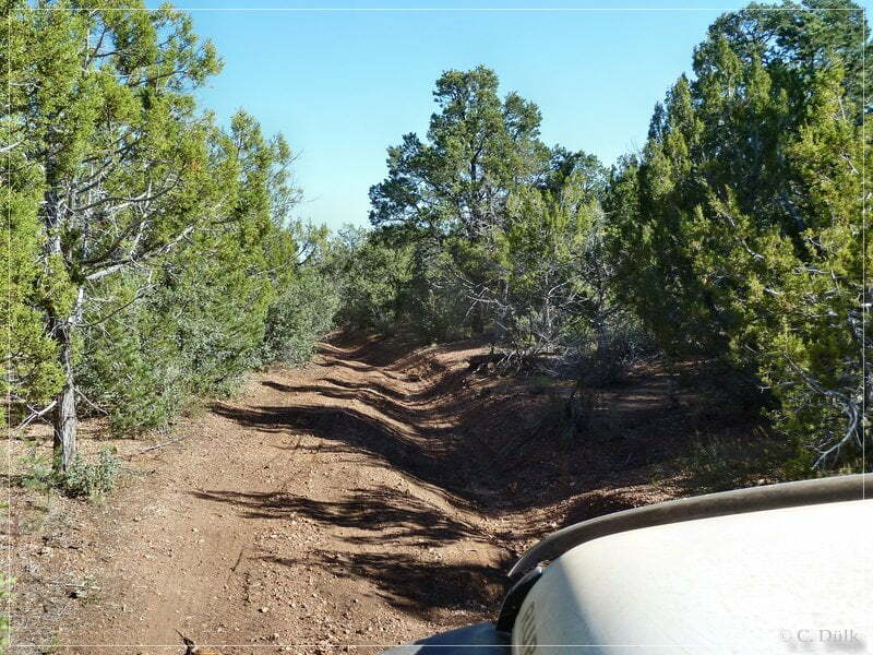 Kelly Point and Twin Point, Grand Parashant NM, AZ