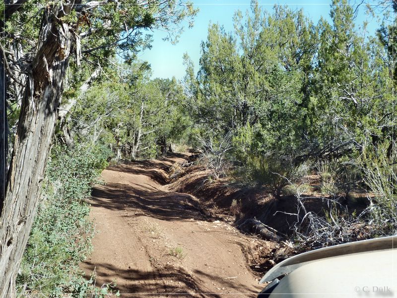 Kelly Point and Twin Point, Grand Parashant NM, AZ