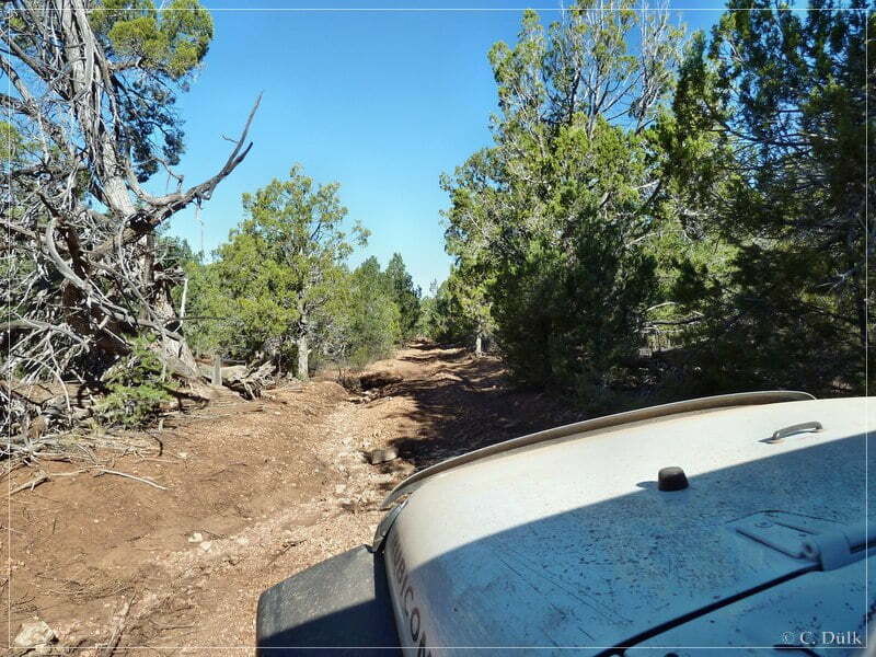 Kelly Point and Twin Point, Grand Parashant NM, AZ