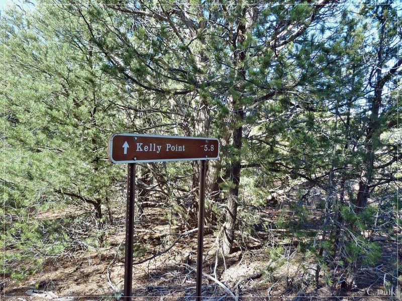 Kelly Point and Twin Point, Grand Parashant NM, AZ