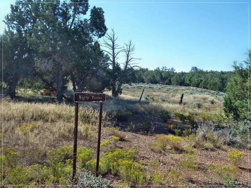 Kelly Point and Twin Point, Grand Parashant NM, AZ