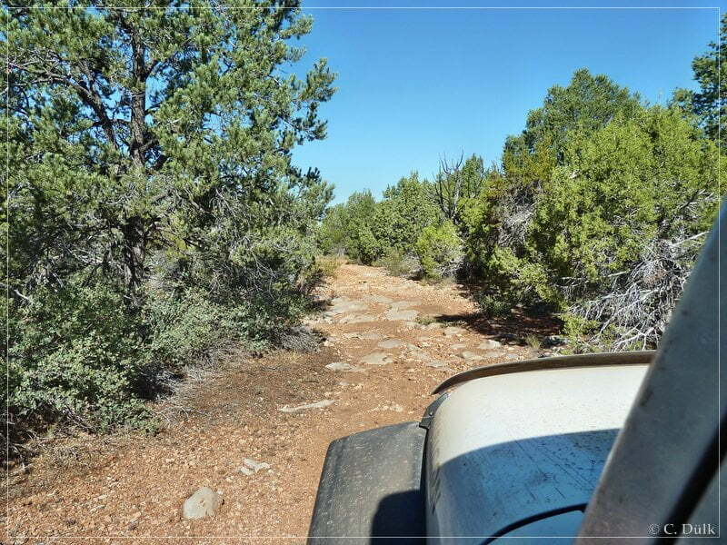 Kelly Point and Twin Point, Grand Parashant NM, AZ