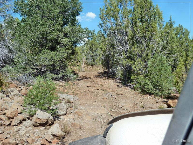 Kelly Point and Twin Point, Grand Parashant NM, AZ