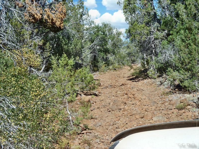 Kelly Point and Twin Point, Grand Parashant NM, AZ