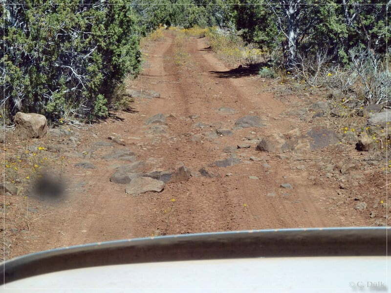 Kelly Point and Twin Point, Grand Parashant NM, AZ