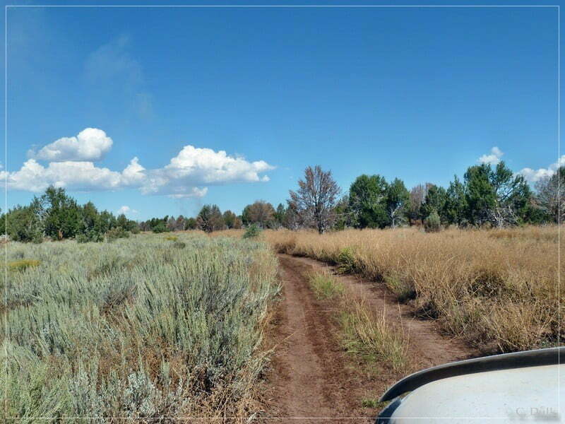 Kelly Point and Twin Point, Grand Parashant NM, AZ