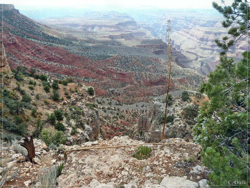Kelly Point and Twin Point, Grand Parashant NM, AZ