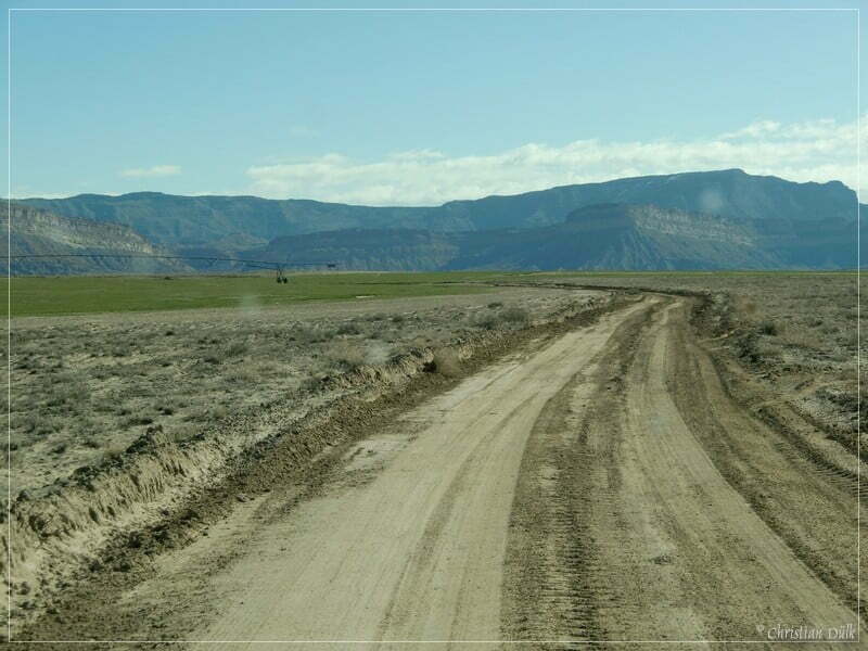 Coal Canyon, Bookkliffs, UT