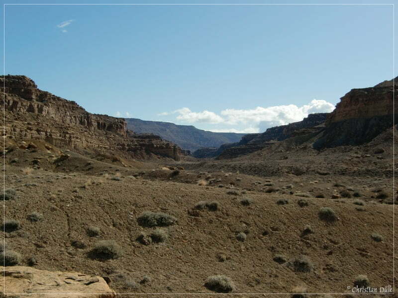 Coal Canyon, Bookkliffs, UT