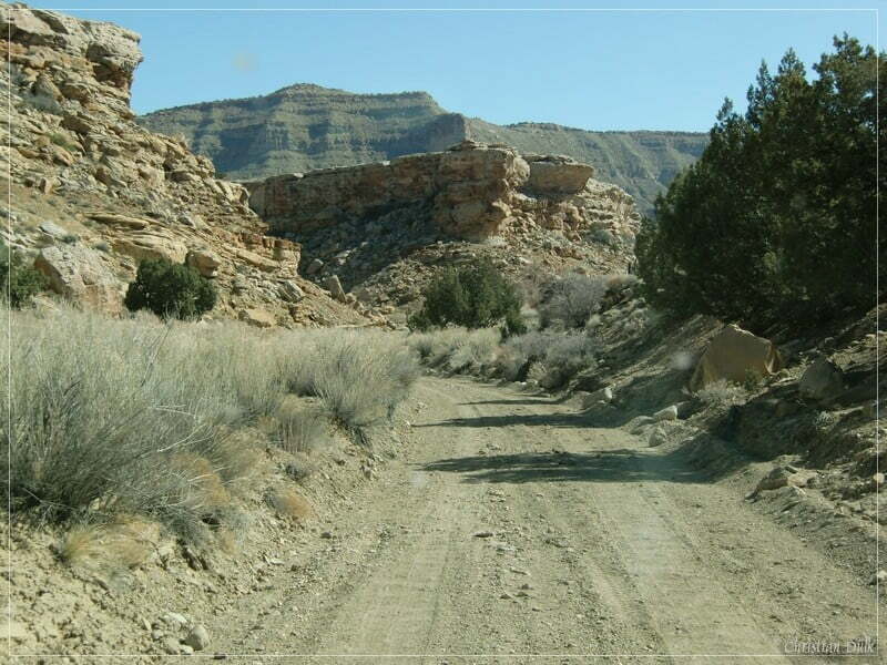 Coal Canyon, Bookkliffs, UT