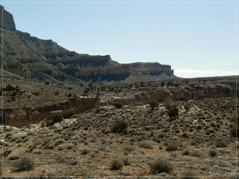 Coal Canyon, Bookkliffs, UT