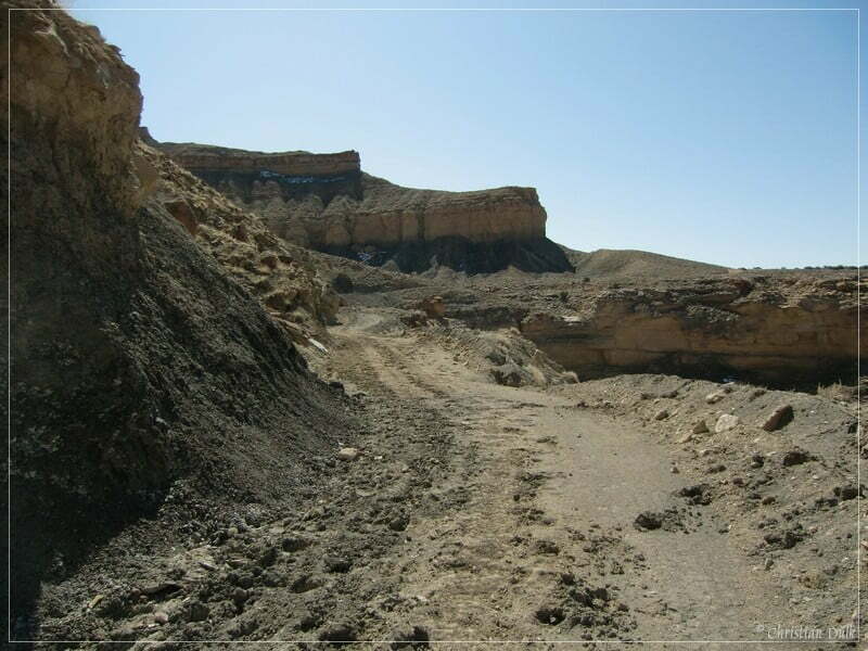 Coal Canyon, Bookkliffs, UT