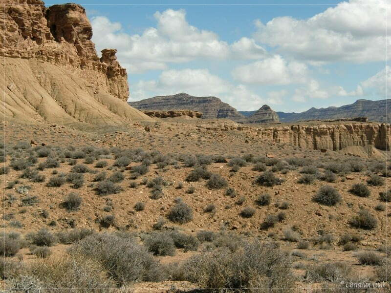 Coal Canyon, Bookkliffs, UT