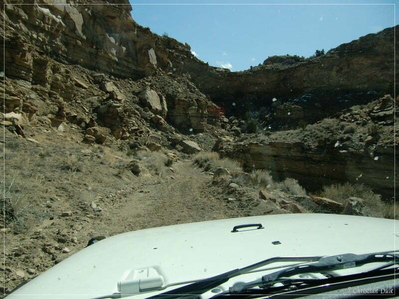 Coal Canyon, Bookkliffs, UT