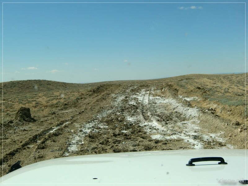 Coal Canyon, Bookkliffs, UT