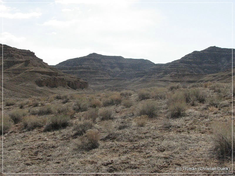 Tusher Canyon, Bookcliffs, UT