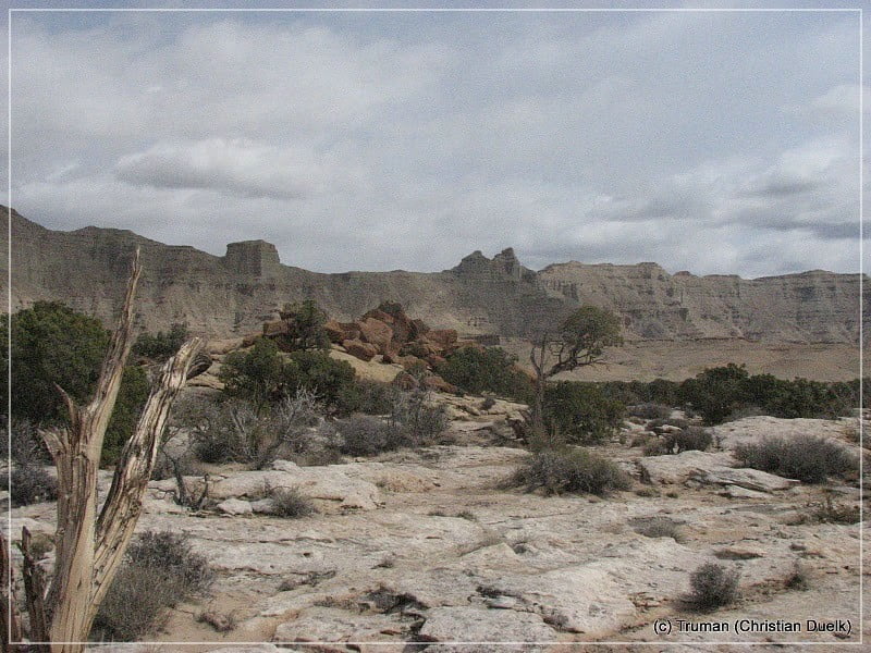 Tusher Canyon, Bookcliffs, UT