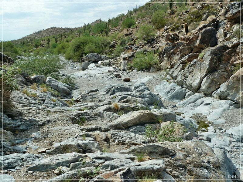 Box Canyon, Florence Junction, AZ