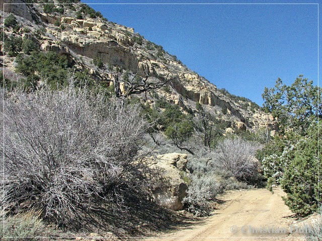 Fifty Mile Bench Road, GSENM, UT
