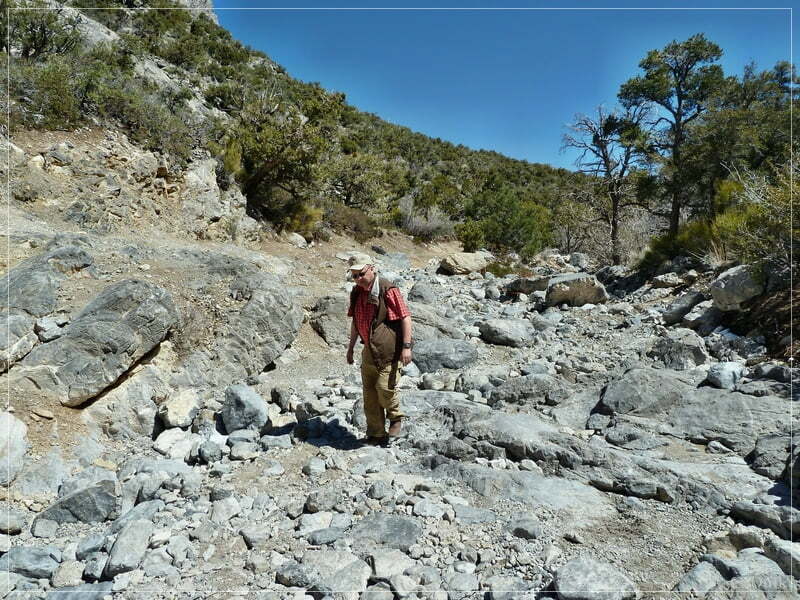 Rocky Gap Road, Las Vegas, NV
