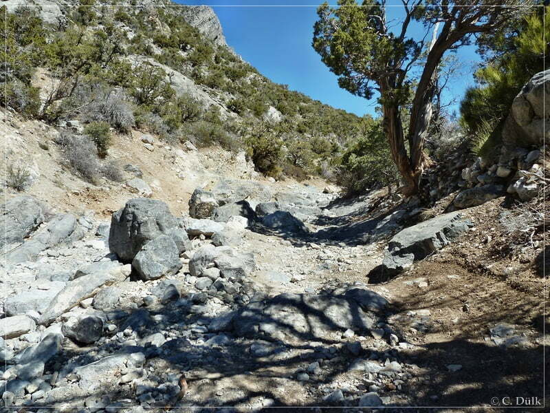 Rocky Gap Road, Las Vegas, NV