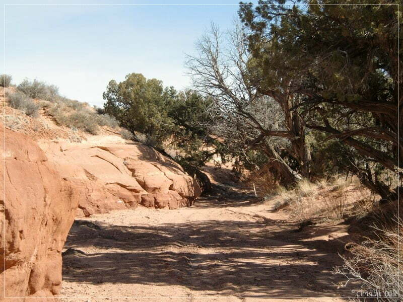 Rainbow Rims, Moab, UT