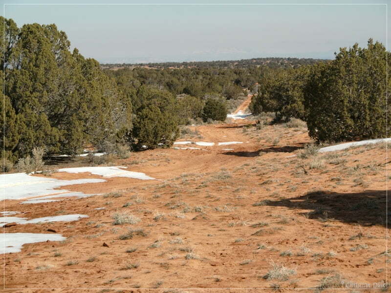 Bonal Springs Rim 2010, Vermilion Cliffs NM, AZ