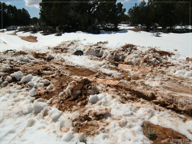 Bonal Springs Rim 2010, Vermilion Cliffs NM, AZ