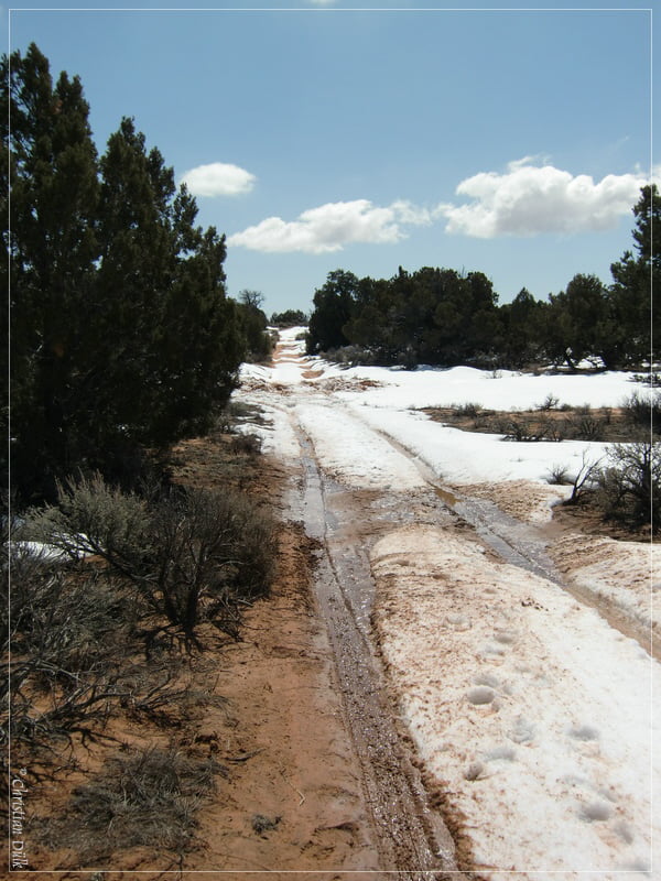 Bonal Springs Rim 2010, Vermilion Cliffs NM, AZ