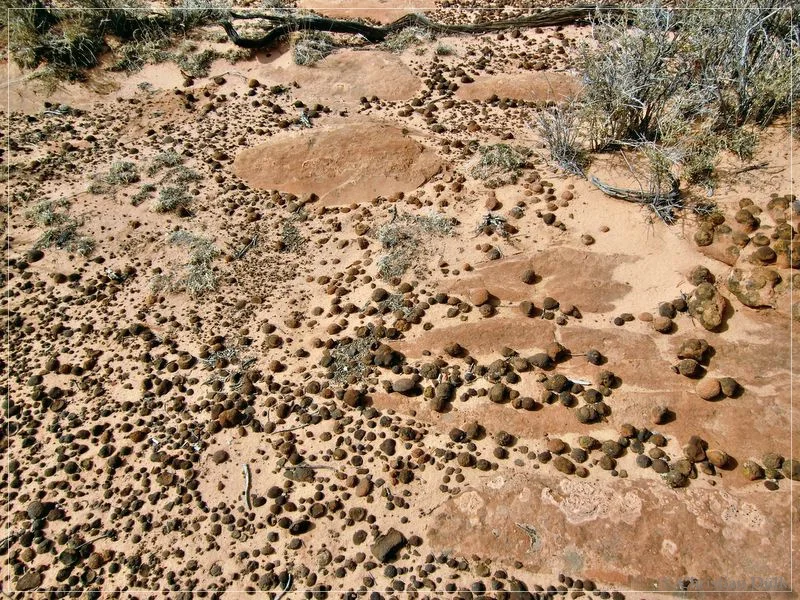 Bonal Springs Rim + One Toe Ridge