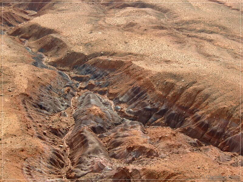 Bonal Springs Rim + One Toe Ridge
