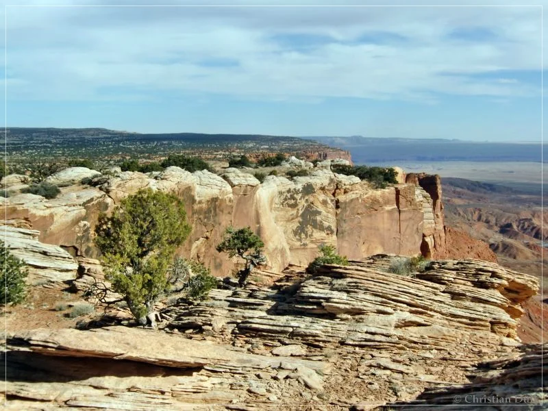 Bonal Springs Rim + One Toe Ridge