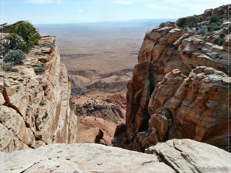 Bonal Springs Rim + One Toe Ridge