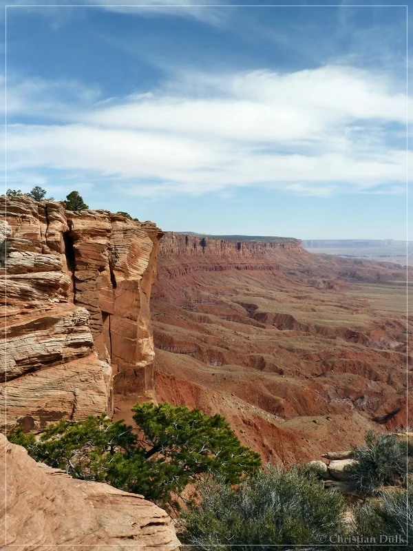 Bonal Springs Rim + One Toe Ridge