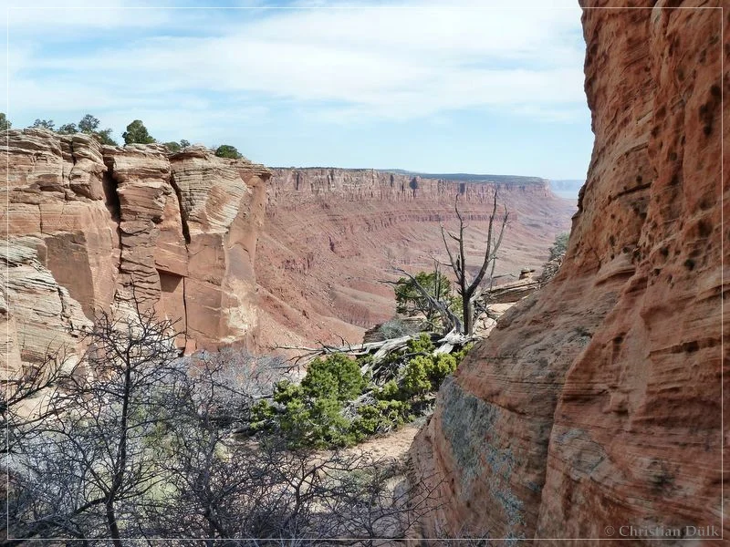 Bonal Springs Rim + One Toe Ridge