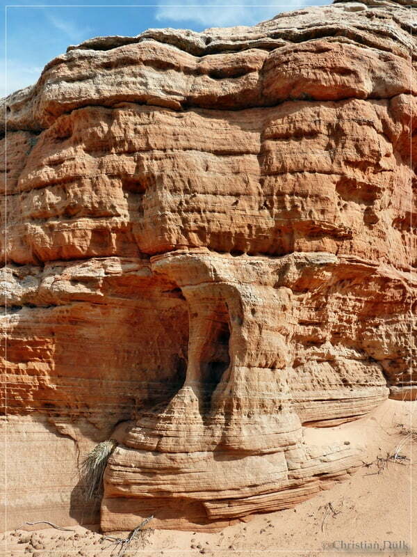 Bonal Springs Rim + One Toe Ridge