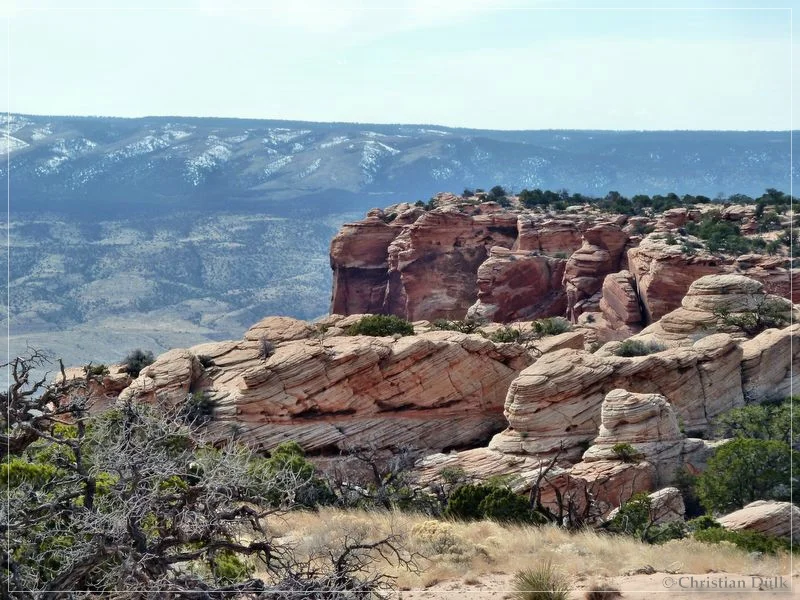 Bonal Springs Rim + One Toe Ridge