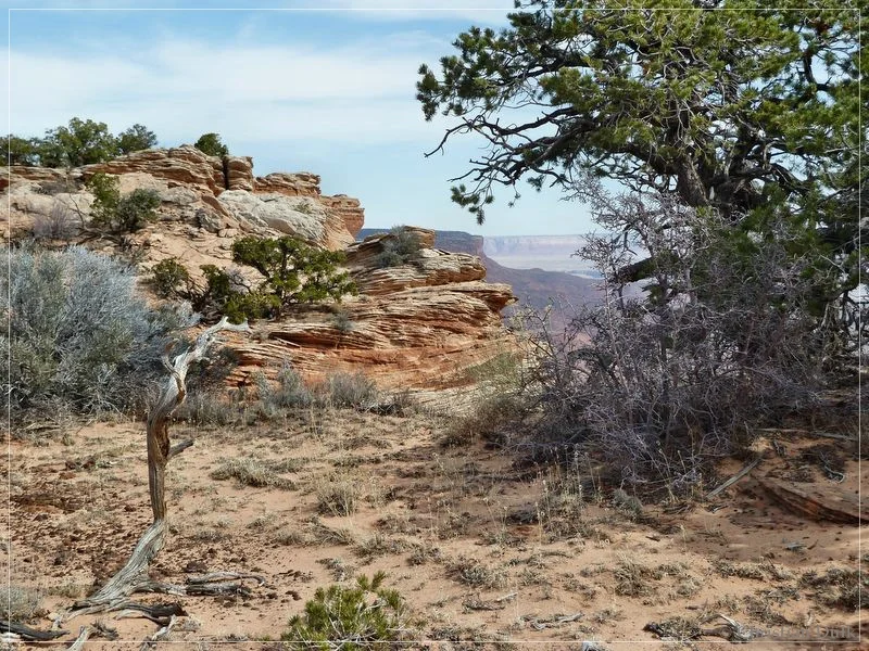 Bonal Springs Rim + One Toe Ridge