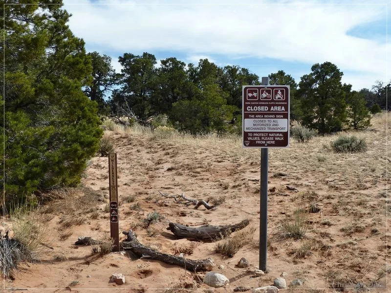 Bonal Springs Rim + One Toe Ridge