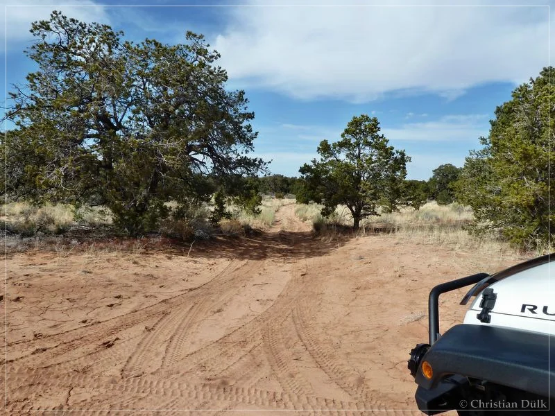 Bonal Springs Rim + One Toe Ridge
